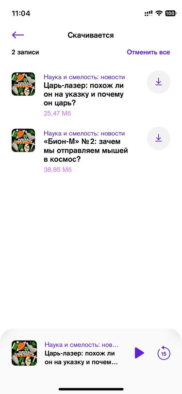 Гусьгусь • iOS